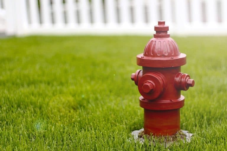Fire Hydrant on a green lawn