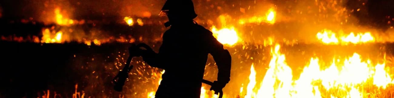 Fire Fighter Fighting Brush Fire