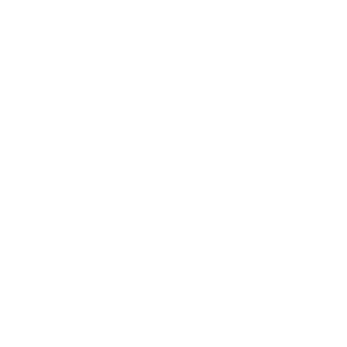 Village of South Holland Logo