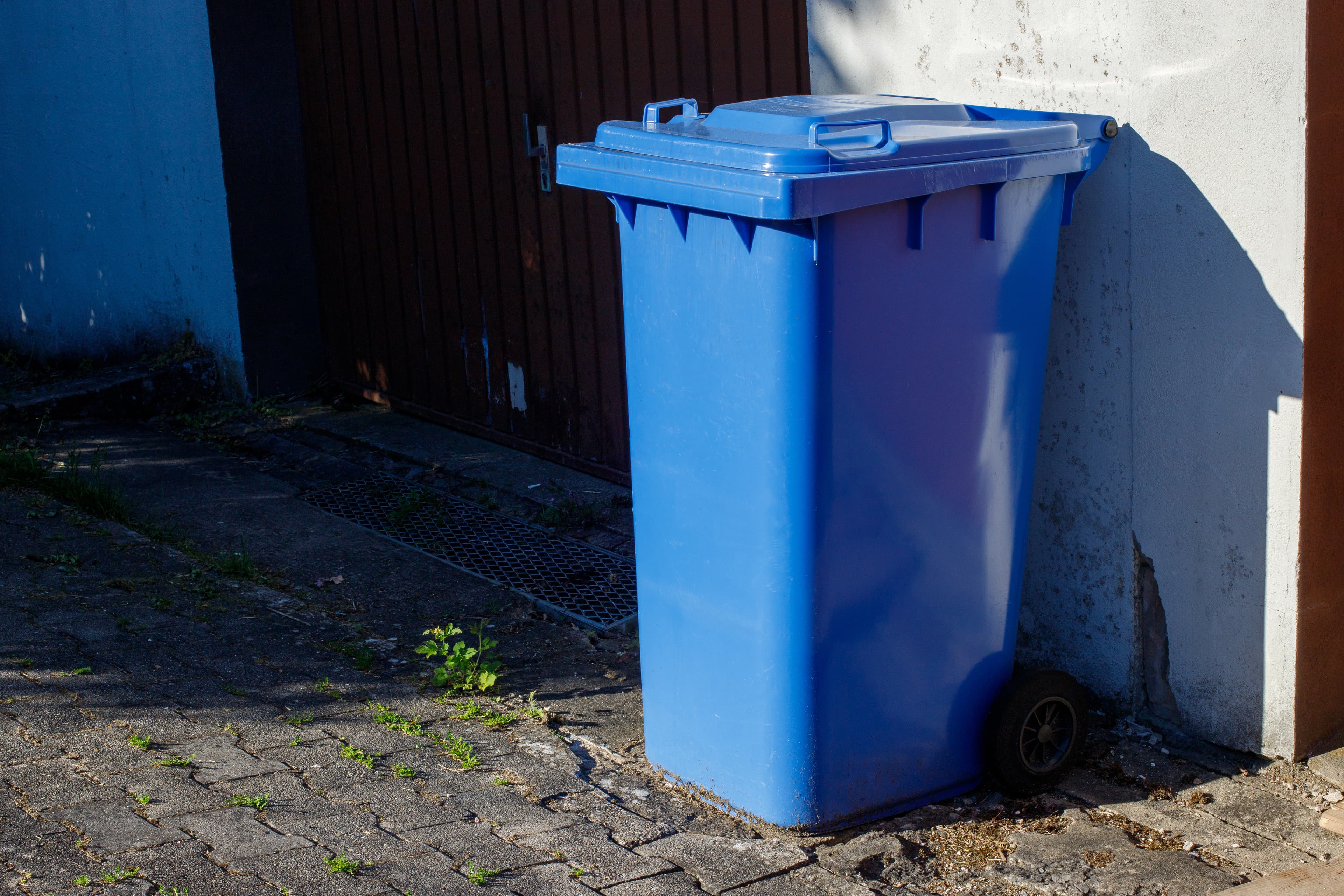 Large blue plastic wheelie bin for paper and cardboard recycling standing outdoors.